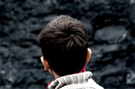 Wonder
